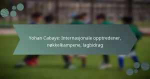 Yohan Cabaye: Internasjonale opptredener, nøkkelkampene, lagbidrag