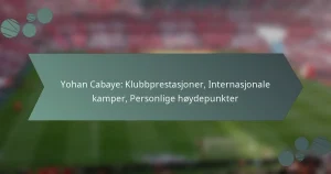 Yohan Cabaye: Klubbprestasjoner, Internasjonale kamper, Personlige høydepunkter