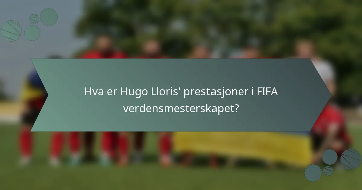 Hva er Hugo Lloris' prestasjoner i FIFA verdensmesterskapet?
